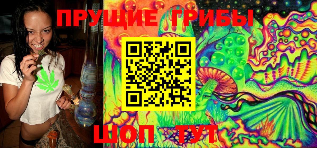 Галлюциногенные грибы GOLDEN TEACHER Богданович